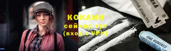 мескалин Богородицк