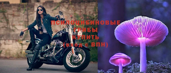 мескалин Богородицк