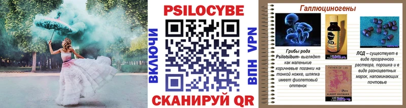 Псилоцибиновые грибы Psilocybe  как найти наркотики  Новоуральск 
